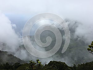 Rainy and Cloudy Day in Winter at Kalalau Lookout in Waimea Canyon on Kauai Island, Hawaii.