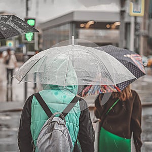 Rainy day, city pedestrian crossing, people under umbrellas, back view