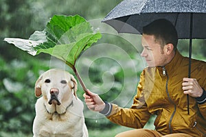 Rainy day with dog in nature