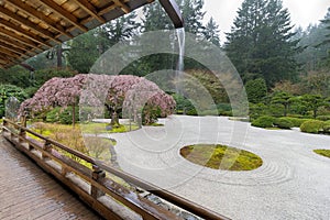 Rainy Day at Japanese Flat Garden