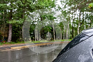 Rainy day in a park forest with the back end of a parked vehicle collecting droplets.