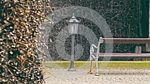 Rainy Day in the Park with Glimmering Street Lamp, A close-up of raindrops glistening on branches with a classic street