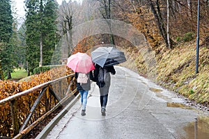 Rainy day and people with umbrellas