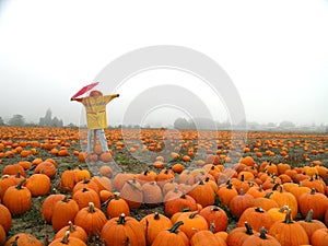Rainy Day Pumpkin Patch Scarecrow
