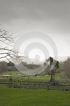 Rainy Day in Rural NZ