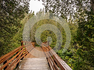 A rainy day in the trail of the Gaspesie National Park in Quebec, Canada. Hiking through the mist and rainy clouds