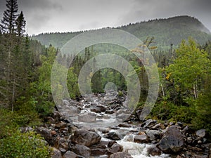 A rainy day in the trail of the Gaspesie National Park in Quebec, Canada. Hiking through the mist and rainy clouds