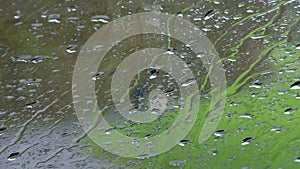 rainy day window background video 4k 30fps