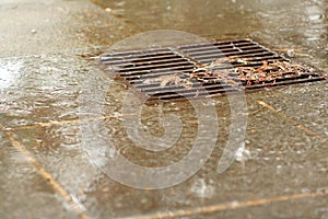 Rainy drain photo