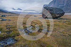 Rainy, hazy day in remote arctic valley of Akshayuk Pass, Baffin Island, Canada. Moss and grass in autumn colors