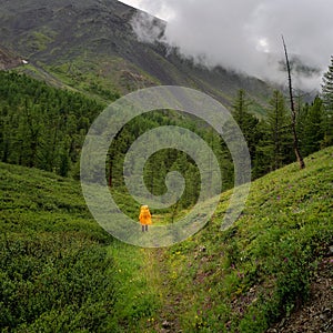 Rainy hike, alone on the trail. Figure of a tourist in a yellow raincoat on a mountain trail. Rainy mountain forest, single