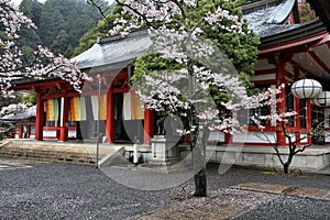 Rainy Japan