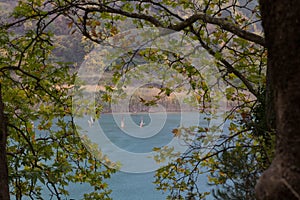 Rainy lake Tsivlos through the tree branches