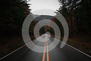 Rainy Road in the Fall