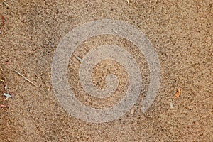 Rainy sand texture and background