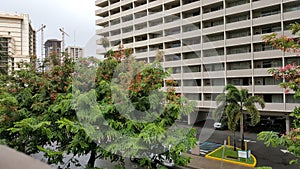 Rainy season in tropical island Oahu Hawaii