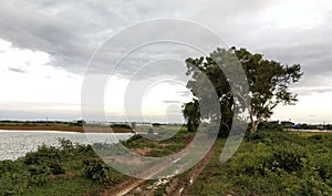 Rainy Season  ,White Cloud Over The Sky