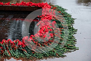 Rainy view of the Tomb of Unknown soldier and Eternal flame in Alexander garden near Kremlin wall in Moscow, Russia. Red carnation