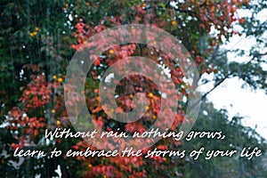 Rainy weather background with text - `Without rain nothing grows, learn to embrace the storms of your life`