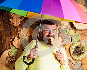 Rainy weather forecast concept. Fall atmosphere attributes. Hipster with beard mustache expect rainy weather hold
