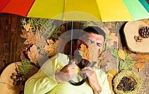 Rainy weather forecast concept. Man bearded lay on wooden background with leaves top view. Fall atmosphere attributes