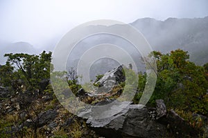 Rainy weather in the mountains in autumn.