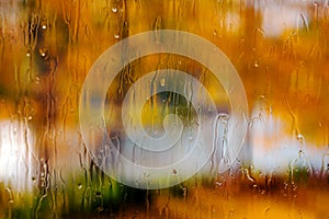 Rainy window