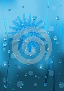 Rainy Window Background