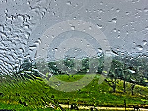 Rainy Window2