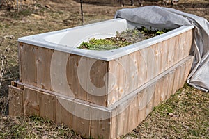 Raised bed in bathtub - upcycling