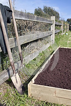 Raised Bed Vegetable Garden