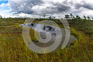 Raised bog and marsh landscape under an expressive sky