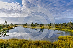 Raised bog and marsh landscape under an expressive sky