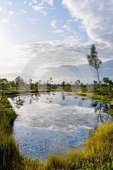 Raised bog and marsh landscape under an expressive sky