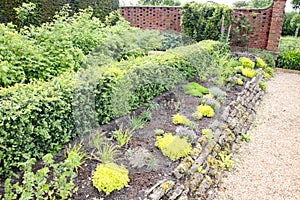 A raised border in an English country garden