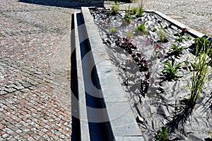 Raised flower bed in the square with newly planted perennials mulched with black non-woven fabric. It is used to protect against w