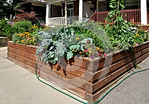 Raised garden bed