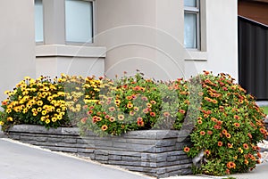 Raised Garden Bed Adorning a Modern FaÃ§ade