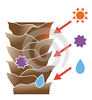 Damaged hair cuticles illustration. hair care and beauty concept photo