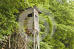 raised hide in the forest