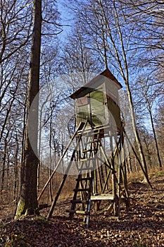 Raised hide in forest on a sunny day