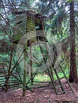 Raised hide for hunting in a forest