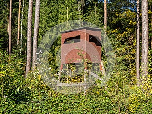 Raised hide in the wood