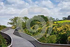 Raised shared path curving through lush green park towards Orakei Basin. Beautiful summer day in Auckland, New Zealand