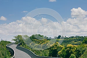 Raised shared path curving through lush green park towards Orakei Basin. Beautiful summer day in Auckland, New Zealand