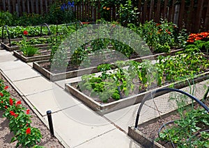Vyvýšený zeleninový zahrada postele 