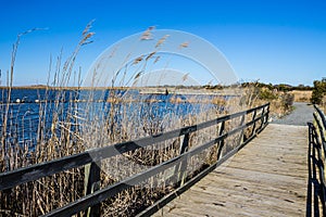 Raised Walkway through Marsh at Back Bay National Wildlife Refuge photo