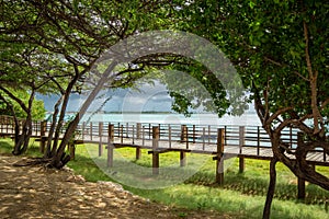 Raised wooden walkway along the beach in Aruba