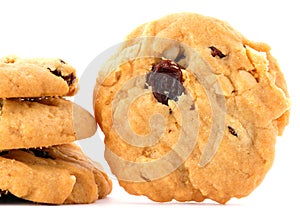 Raisin Cookie