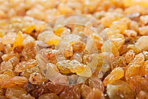 Raisin food photo